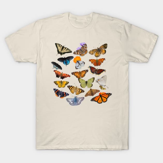 New England Butterflies T-Shirt by Electric Mermaid